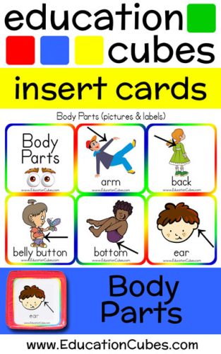 Education Cubes Body Parts insert cards