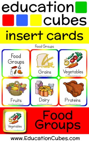 Food Groups Education Cubes insert cards