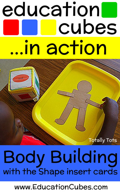 Body Building Education Cubes Shape Activity