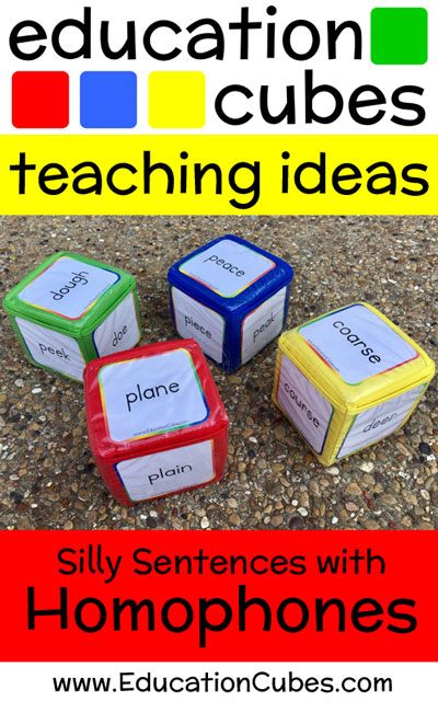 Homophones Silly Sentences with Education Cubes